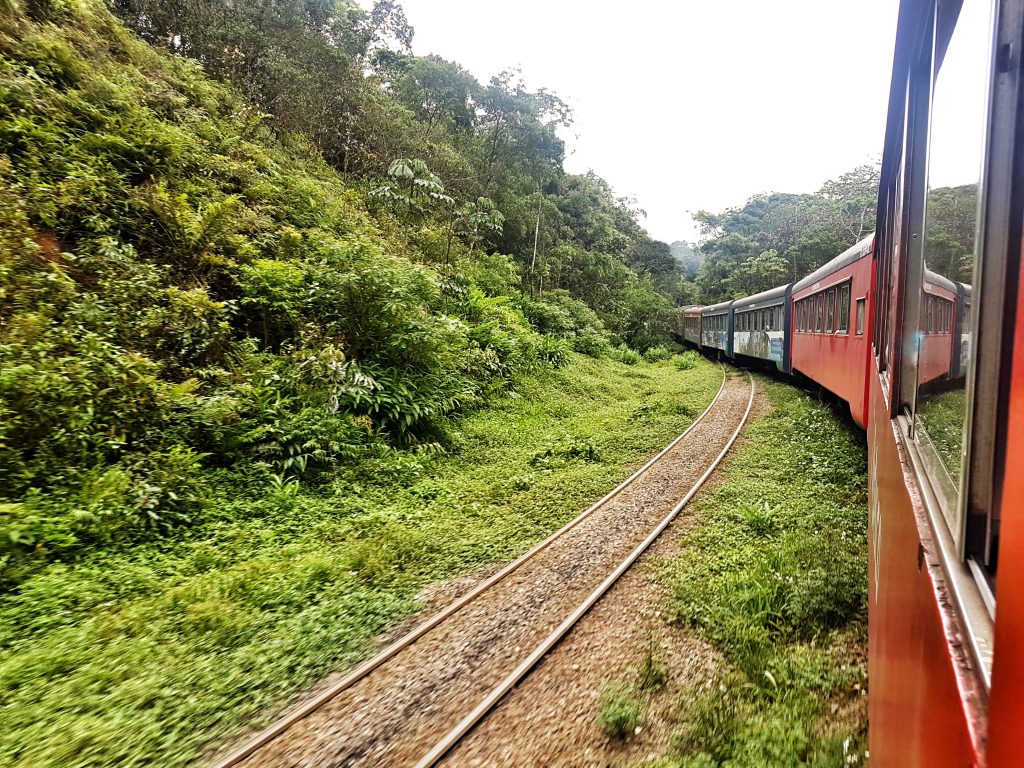 Como O Passeio De Trem De Curitiba Morretes Lu Por Ai