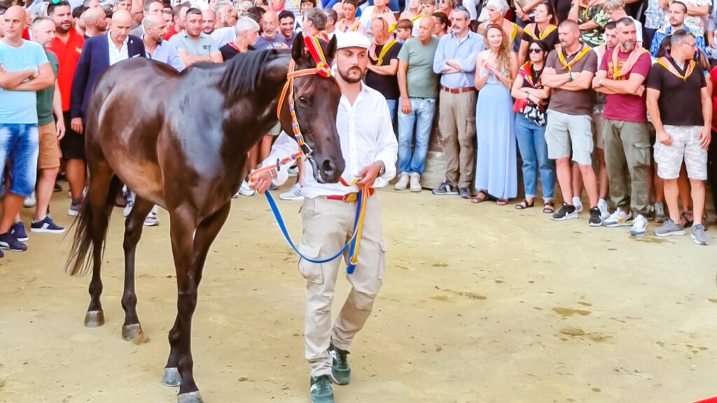 Il Palio Di Siena corrida de cavalos