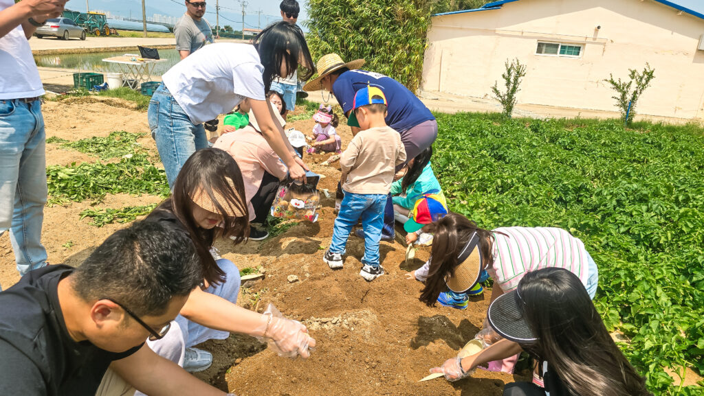 voluntariado na coreia do sul